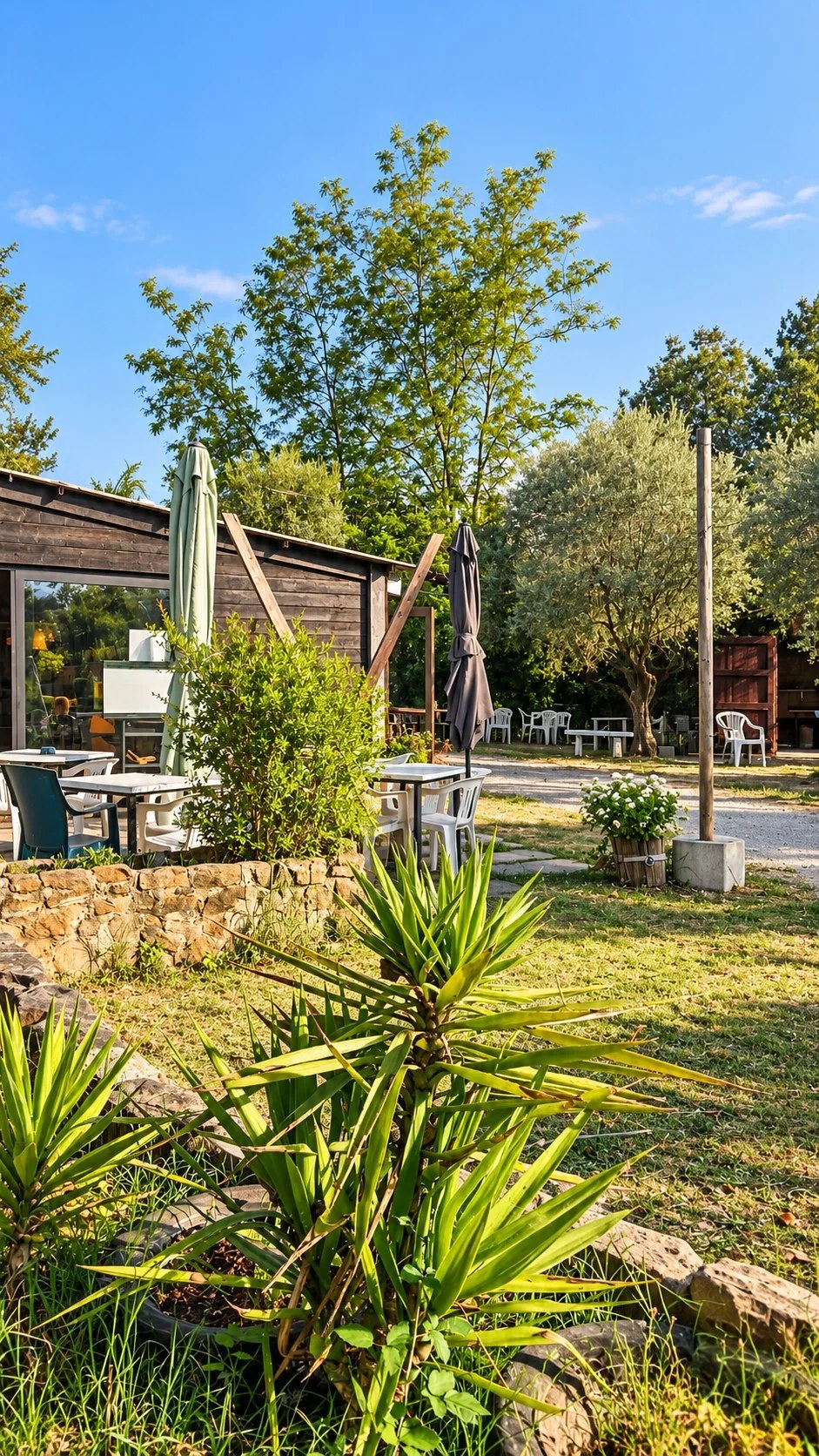 Spazio esterno del bar e area picnic del Parco La Rupe