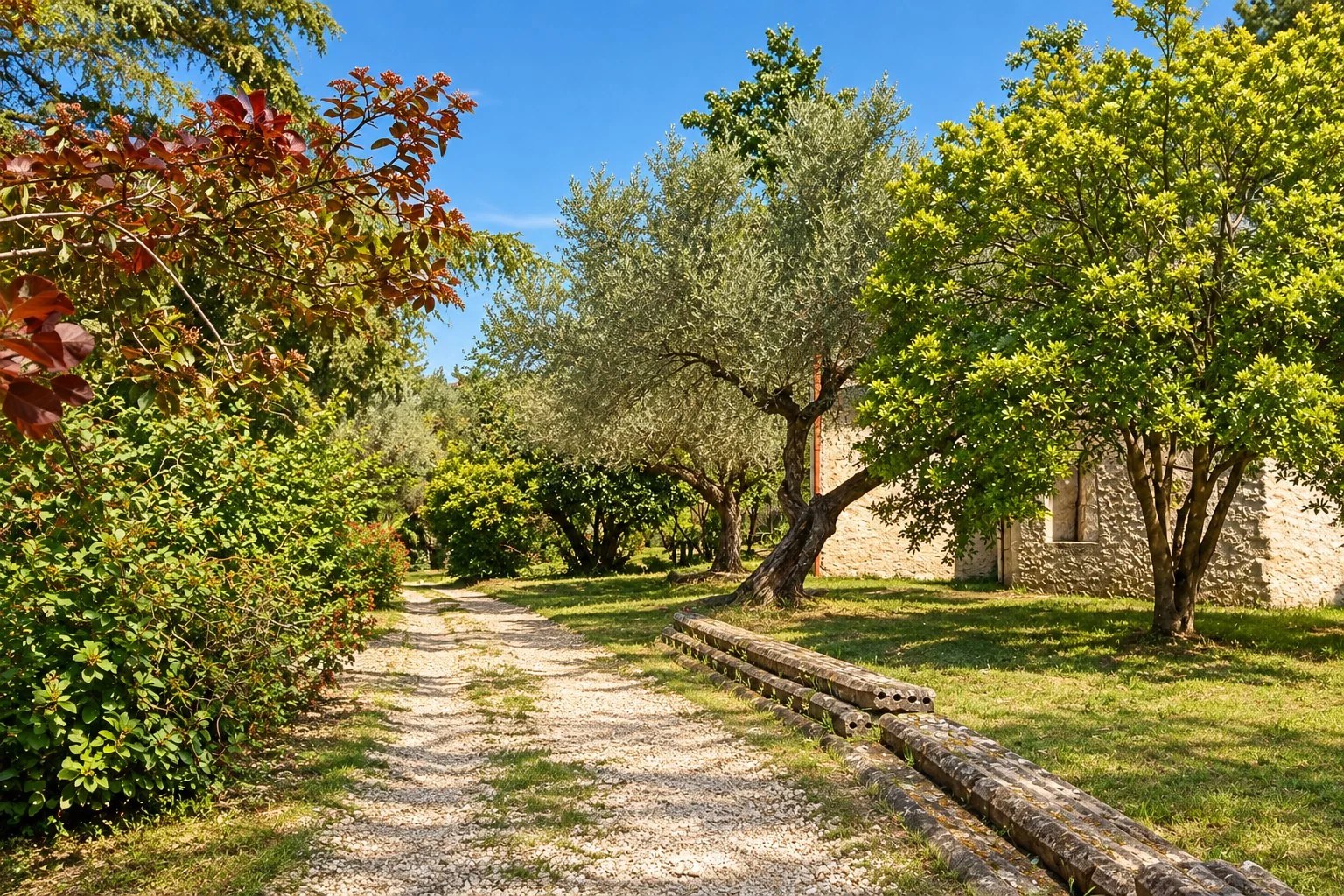 Viale e giardino del Parco La Rupe